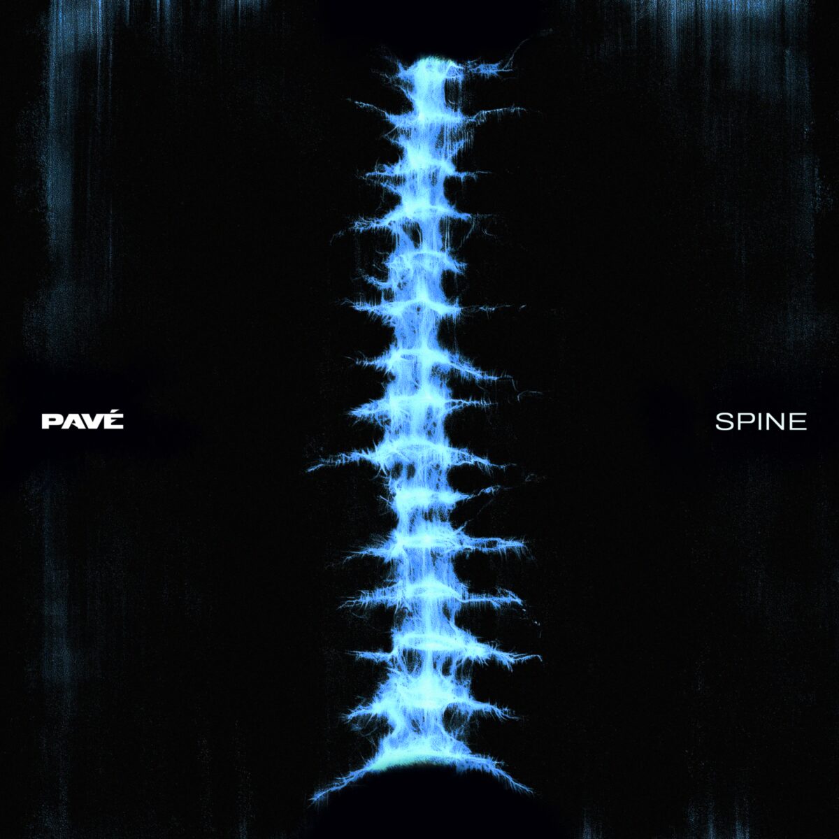 PAVÉ – Spine artwork